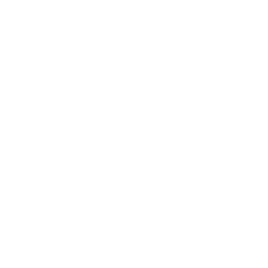 icon security.png